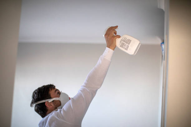 Best Fast Mold Removal  in Constantine, MI