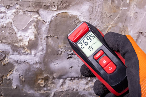 Best Office Mold Removal Services  in Constantine, MI