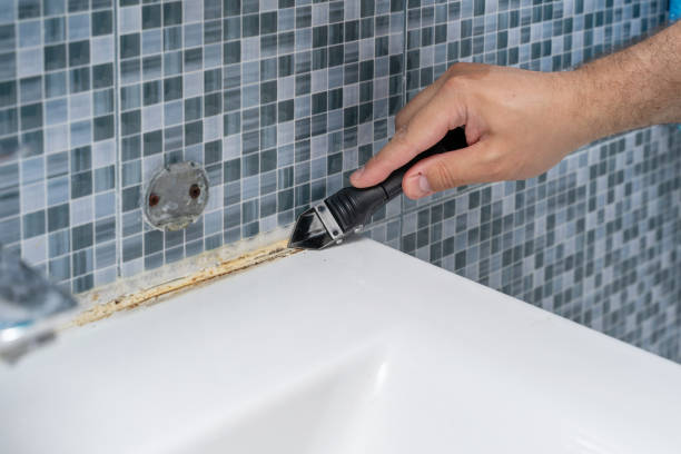 Best Mold Remediation  in Constantine, MI